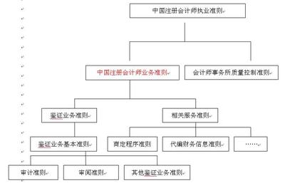 2010年《審計》輔導:注冊會計師執(zhí)業(yè)準則(1)