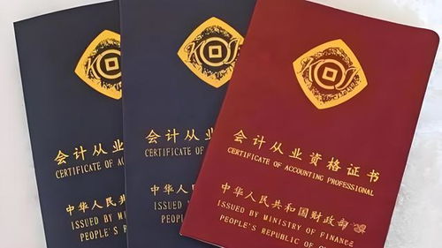 高級會計師和注冊會計師有什么區(qū)別 誰才是財務(wù)界的扛把子